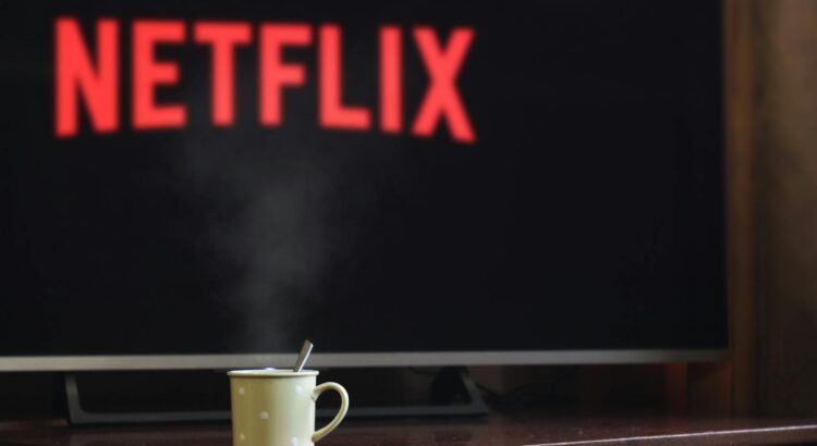 Netflix's Fate: Losing Subs or Not?